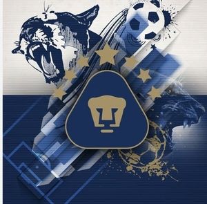 Meet your Posher, Bernardo